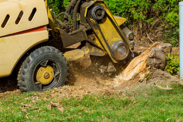 Mulching Services in Stokesdale, NC